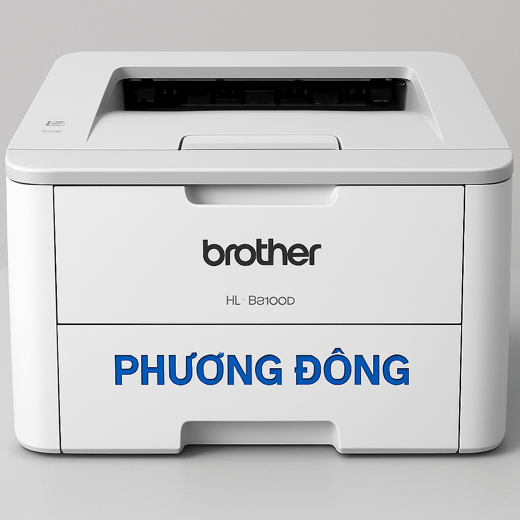 Trống máy in Brother HL-B2100D